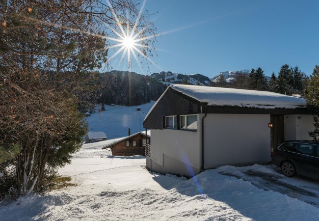 House in Wildhaus - Chalet Pfiff House in Wildhaus - Chalet Pfiff
