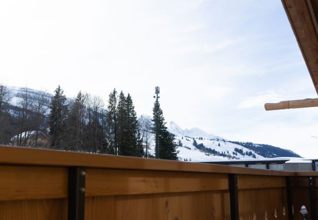 House in Wildhaus - Chalet Schafberg House in Wildhaus - Chalet Schafberg