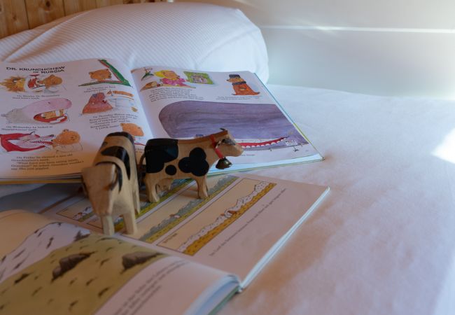 House in Wildhaus - Sigerst House in Wildhaus - Sigerst