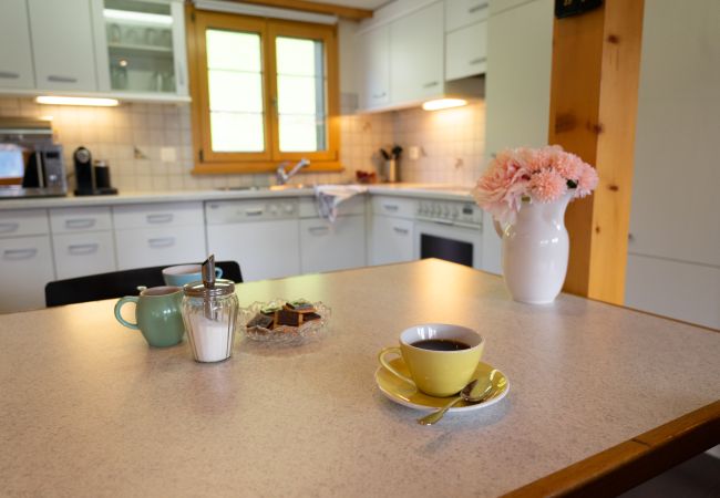 Apartment in Wildhaus - Steirüti 15 Apartment in Wildhaus - Steirüti 15