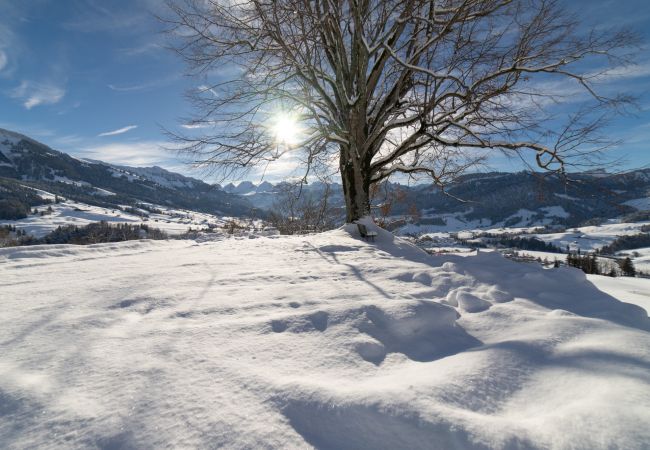 House in Ennetbühl - Undereggli House in Ennetbühl - Undereggli