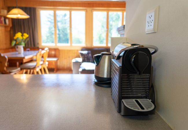 House in Wildhaus - Dorea House in Wildhaus - Dorea