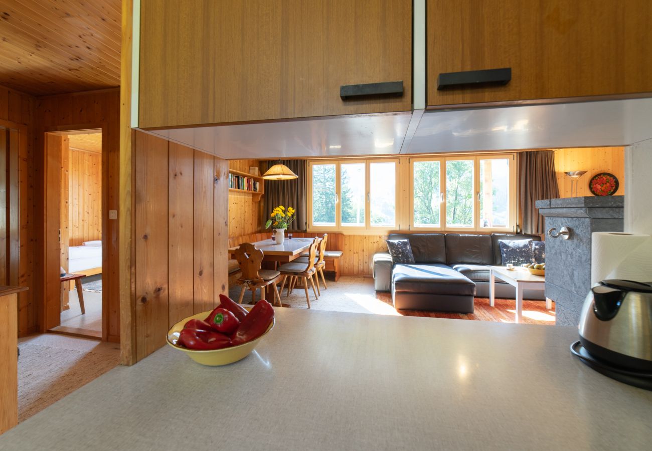 House in Wildhaus - Dorea House in Wildhaus - Dorea