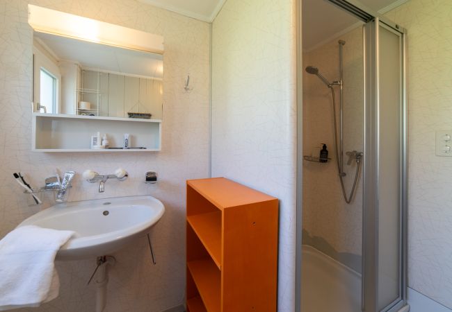 Apartment in Wildhaus - Füchsle Apartment in Wildhaus - Füchsle