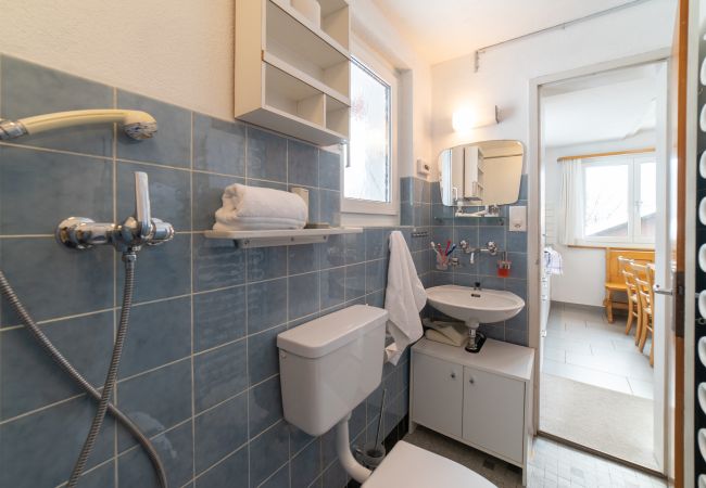 House in Wildhaus - Eldanora House in Wildhaus - Eldanora