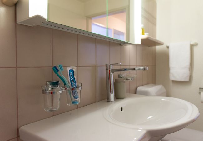 Apartment in Wildhaus - TEST FEWO Apartment in Wildhaus - TEST FEWO