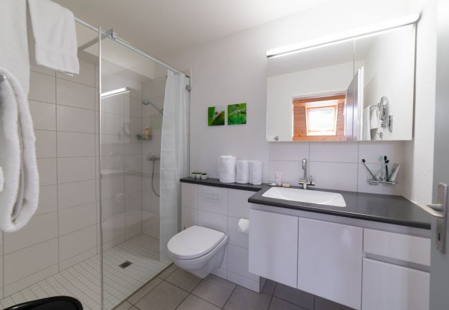 Appartement à Unterwasser - Vista Montagna Appartement à Unterwasser - Vista Montagna