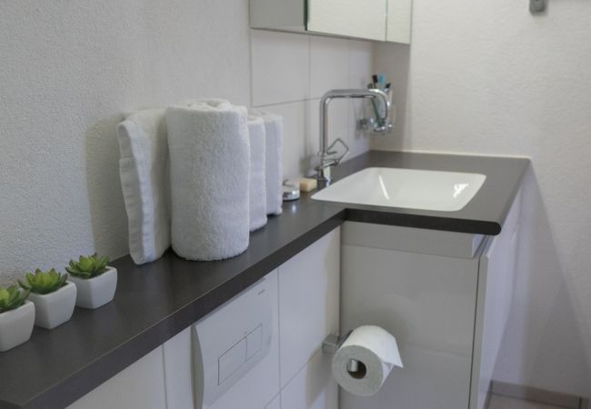 Appartement à Unterwasser - Vista Montagna Appartement à Unterwasser - Vista Montagna