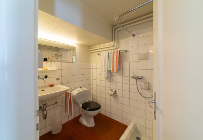 Appartement à Nesslau - Zur Stickerei Appartement à Nesslau - Zur Stickerei