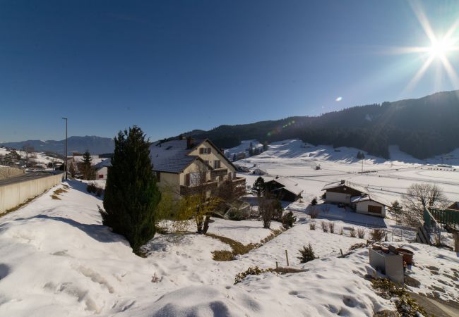 Appartement à Wildhaus - TEST FEWO Appartement à Wildhaus - TEST FEWO