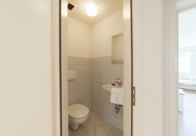 Ferienwohnung in Wildhaus - Lisighaus Ferienwohnung in Wildhaus - Lisighaus