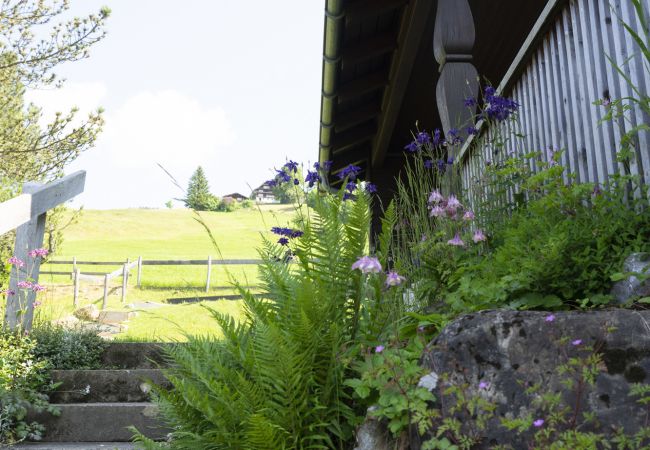 Ferienhaus in Wildhaus - Schönau Ferienhaus in Wildhaus - Schönau