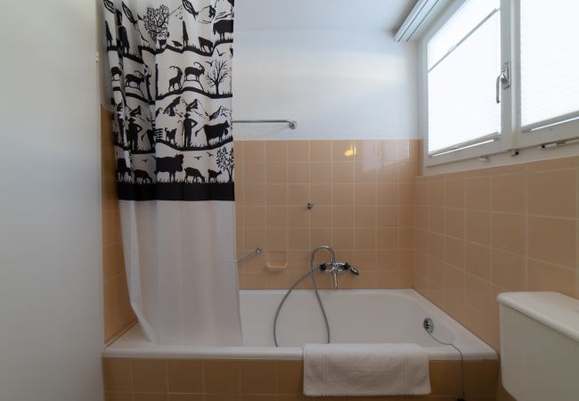 Ferienhaus in Wildhaus - Sonnhalde Ferienhaus in Wildhaus - Sonnhalde