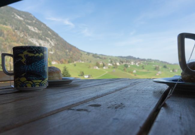 Ferienhaus in Wildhaus - Tanzhaus Ferienhaus in Wildhaus - Tanzhaus