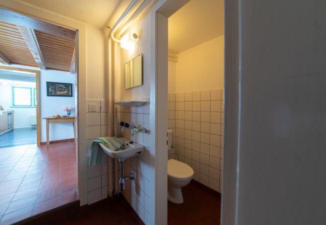 Ferienwohnung in Nesslau - Chammern Ferienwohnung in Nesslau - Chammern