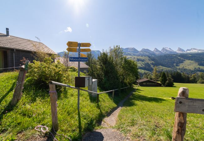 Ferienhaus in Wildhaus - Dorea Ferienhaus in Wildhaus - Dorea