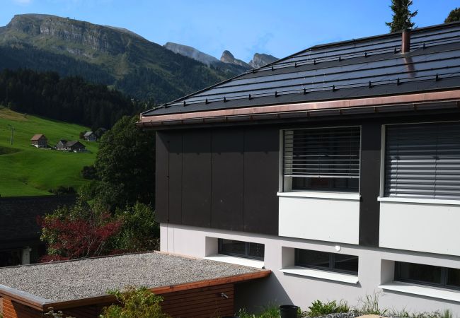 Ferienwohnung in Wildhaus - Alpstern Ferienwohnung in Wildhaus - Alpstern