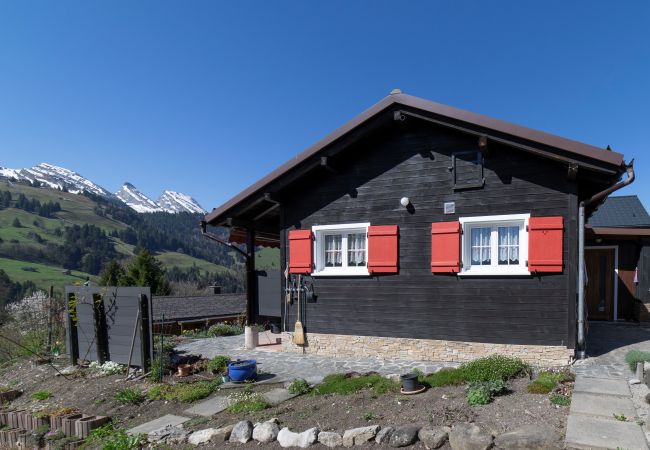 Ferienhaus in Wildhaus - Bergpanorama
